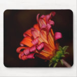 African Daisy Mousepad
