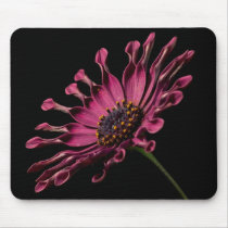 African Daisy Mouse Mats