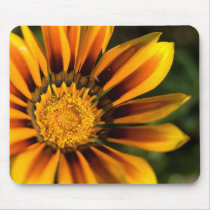 African Daisy Mousepad