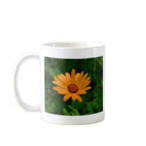 African Daisy Mugs