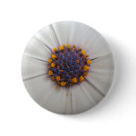 African Daisy Photography Round Pin