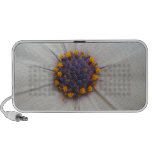 African Daisy Photography Notebook Speakers