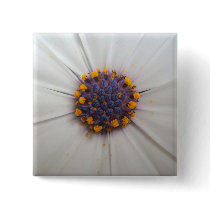 African Daisy Photography Square Pinback Buttons