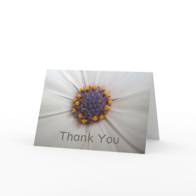 African Daisy Photography Thank You Card by time2see