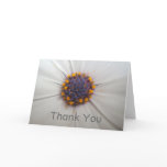 African Daisy Photography Thank You Card