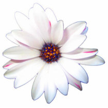 African Daisy Cut Outs