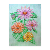 African daisy