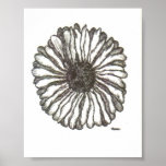 African Daisy Print