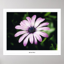 African Daisy Print