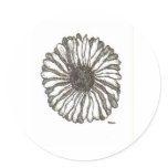 African Daisy Stickers