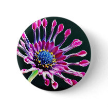 African Daisy With Studio Lighting Pin
