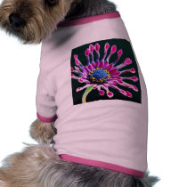 African Daisy With Studio Lighting Doggie T-shirt