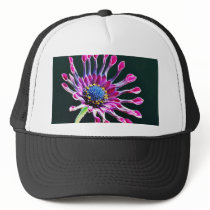 African Daisy With Studio Lighting Mesh Hats