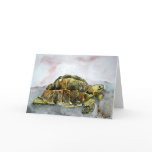 african desert tortoise land turtle greeting card