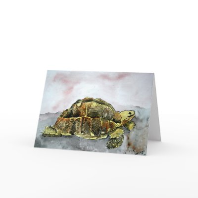 african desert tortoise land turtle greeting card by dereklovessheila