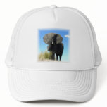 African Elephant Baseball Hat