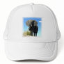 African Elephant Baseball Hat