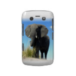 African Elephant Blackberry Bold Case