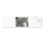 african elephant bumper stickers
