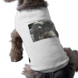 african elephant dog shirt