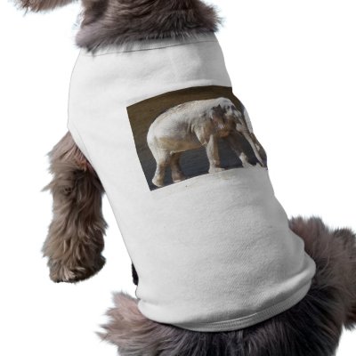 African Elephant Dog Clothing by thekingchivas