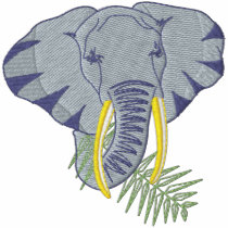 African Elephant