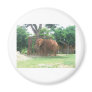 African Elephant Magnet