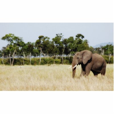 African Elephant, Masai Mara Kenya Photo Sculpture by Rowood