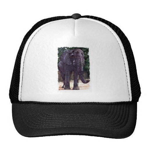 African Elephant Mesh Hat