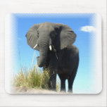 African Elephant Mouse Pad mousepads