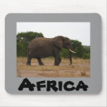 African Elephant Mouse Pads