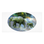 African Elephant photo cards