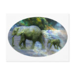 African Elephant Postcards