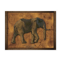 African Elephant Postcards