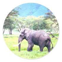 African Elephant Round Stickers