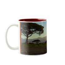 African Elephant Series Coffee Mugs
