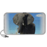 African Elephant Speakers