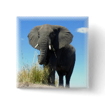 African Elephant Square Pin