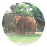 African Elephant Round Sticker