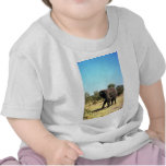 African Elephant Tshirts