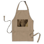 African elephant wildlife safari aprons