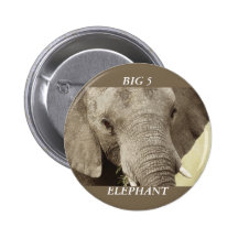 African elephant wildlife safari badges & buttons