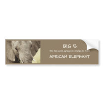 African elephant wildlife safari stickers