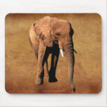 African Elephant Wildlife Supporter Mousepad