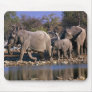 African Elephants Mousepads