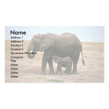 African Elephants - Small Calf Nursing Business Cards