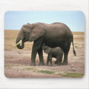 African Elephants - Small Calf Nursing mousepads