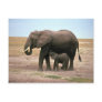 African Elephants - Small Calf Nursing Postcard