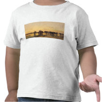 African Elephants T-shirt
