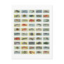 African Fish Post Cards
